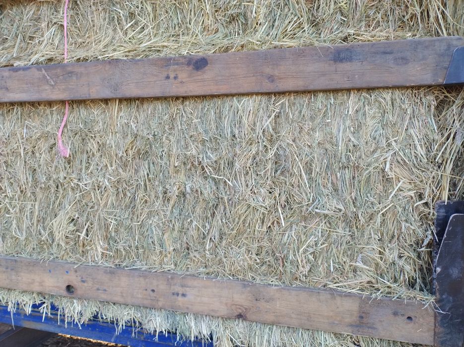 Sprzedam siano w kostkach