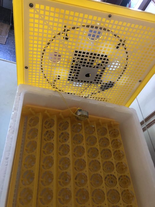 Chocadeira automática
