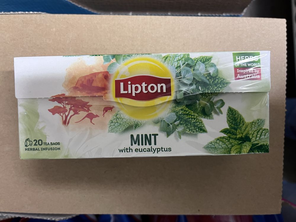 Herbata lipton mięta z eukaliptusem