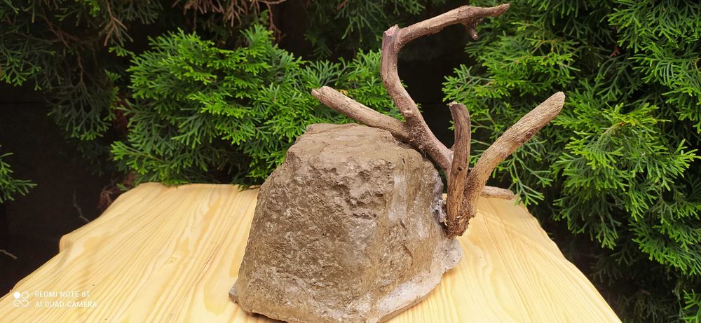 Duża grota do akwarium z korzeniem.