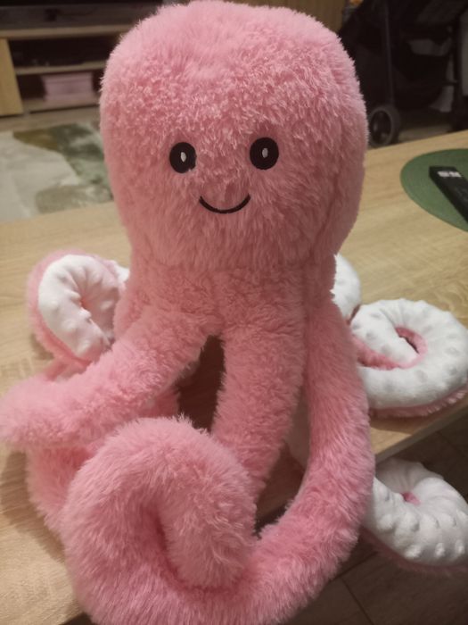 Pluszak ośmiornica
