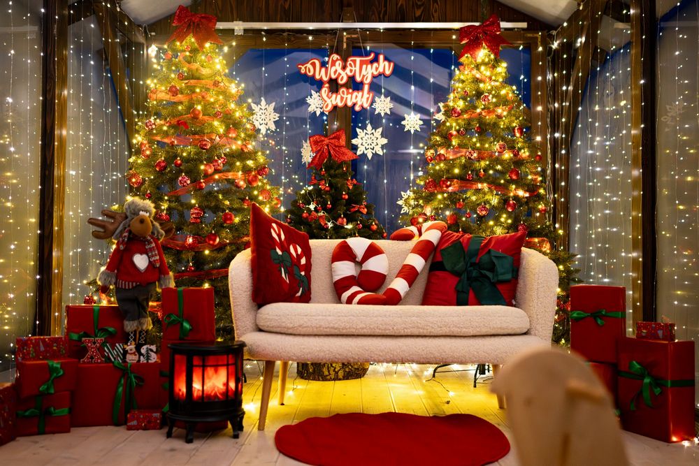 Sesja zdjęciowa | Szklarnia fotograficzna | Turek Konin Kalisz