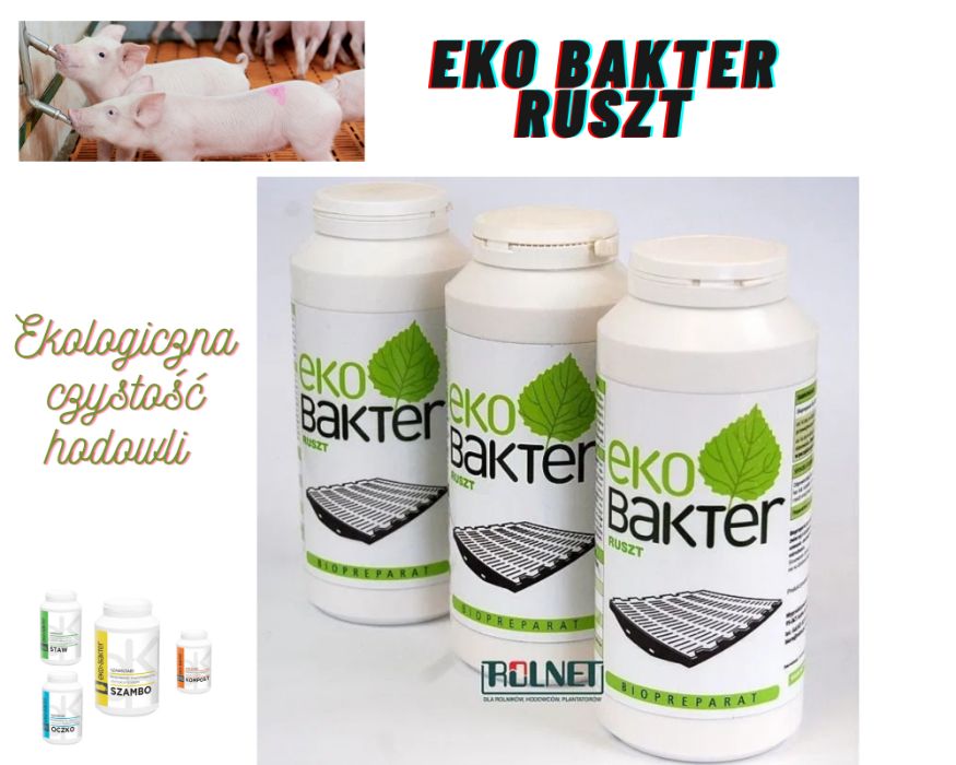 Eko bakter ruszt