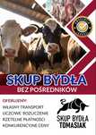 Byki krowy Jałówka Cielaki