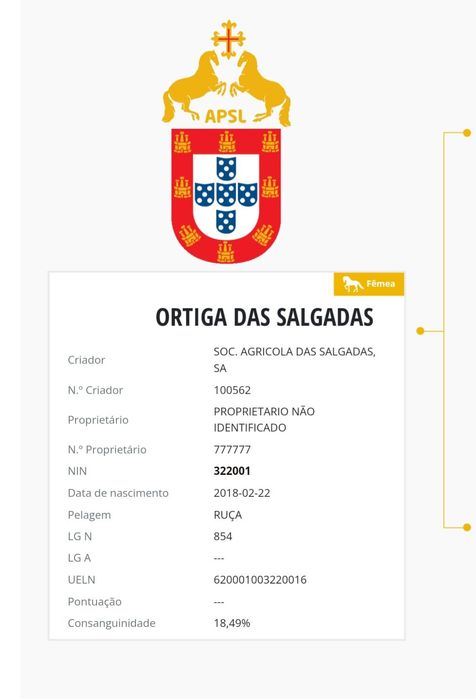 Égua PRL obstáculo