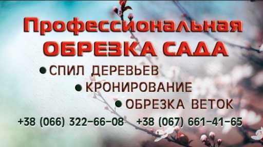 Обрезка садаУслуги садовникаCпил деревьев Топиар Харьков и об