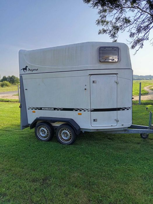 Przyczepa do przewozu koni