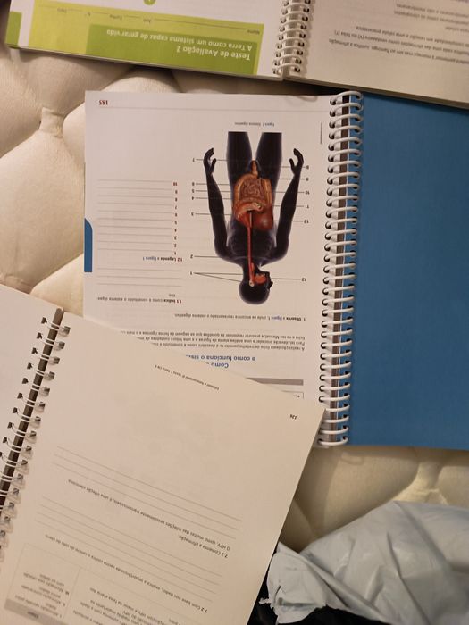 Dossier professor: Exploratório, cientic, À descoberta da vida, Terra