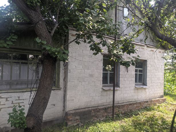 Участок со старым домом и огородом в г.Мена Черниговской обл.