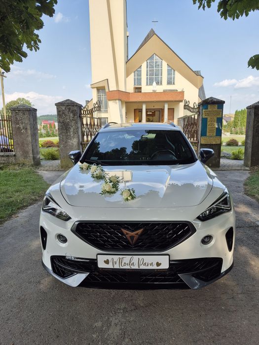Auto do ślubu Mercedes AMG BMW X6 CUPRA  MG  Dodge SRT