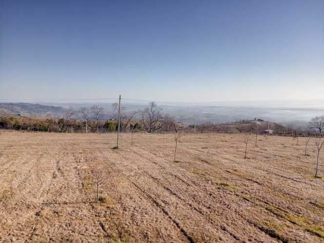 Quinta em Carrazedo de Montenegro  5 Ha