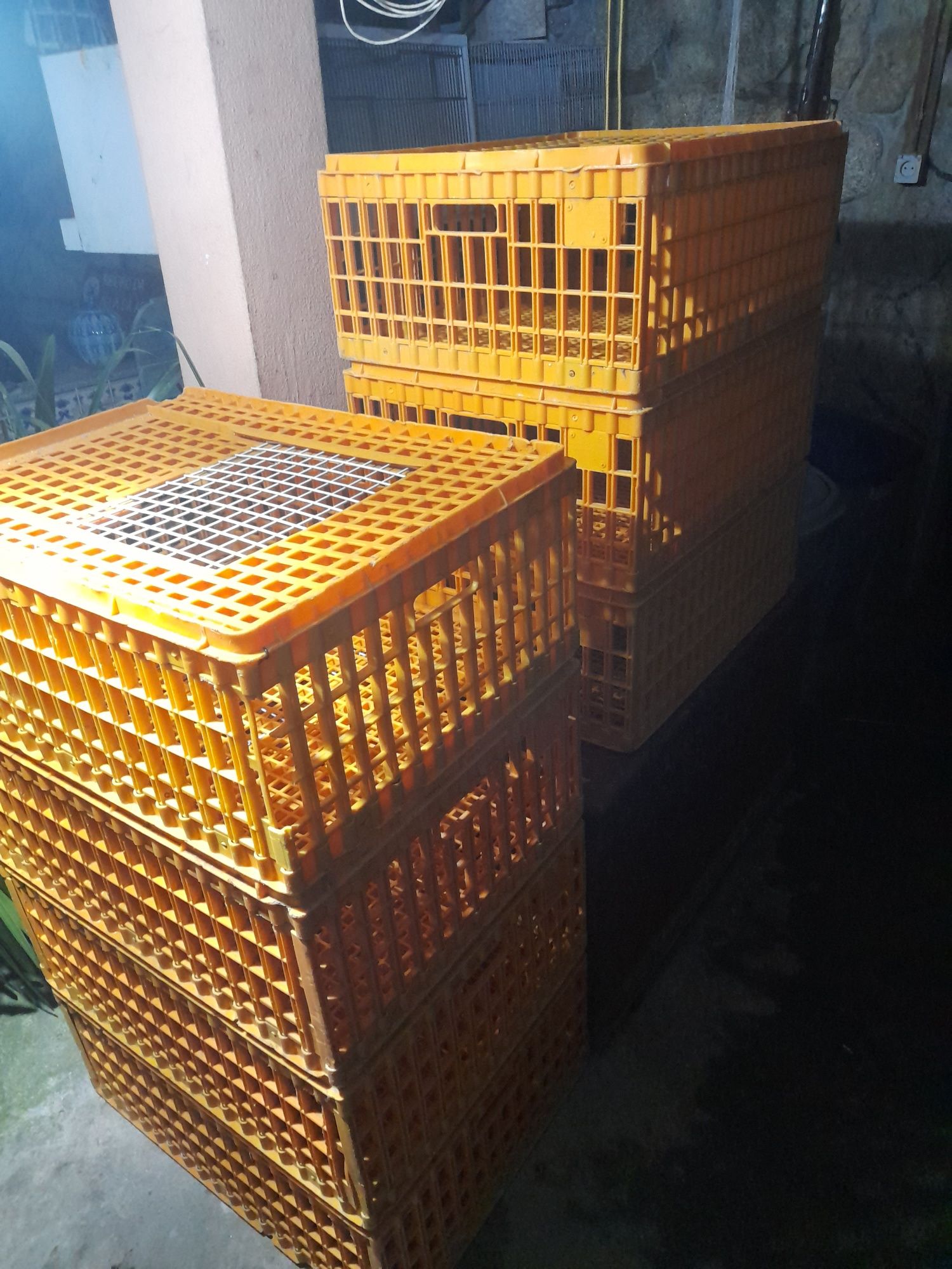 Jaulas de tramporte de aves