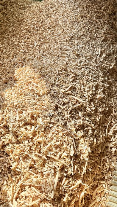 Тирса стружка суха