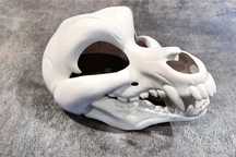 Maska Fursuit Furry
