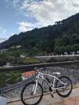 Bicicleta berg torco por trotineta eletrica