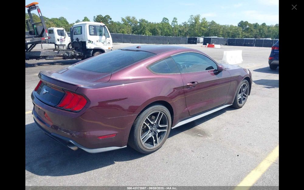 Ford Mustang 2.3 EcoBoost 289KM - w drodze do Polski