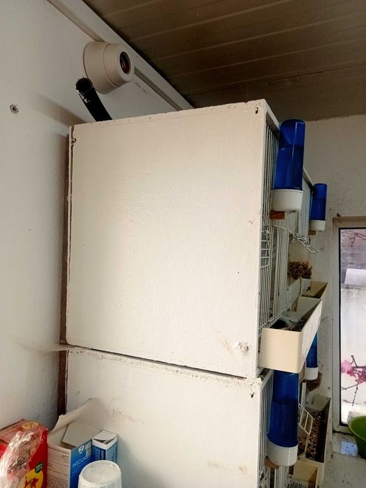 Viveiros para canários