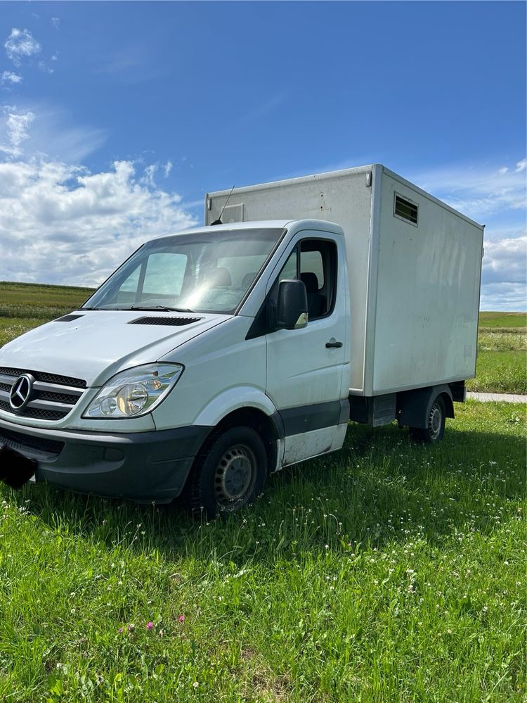 Mercedes-benz sprinter 313 CDI Renault , Volkswagen, Fiat
