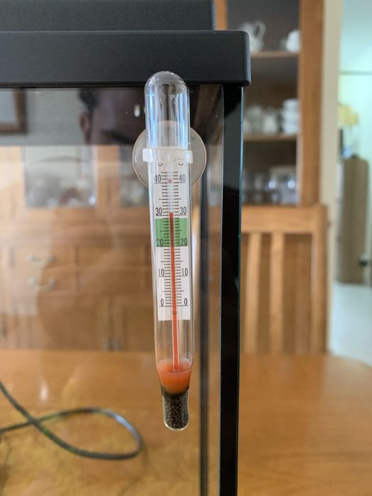 Aquário 15 Litros com Filtro, Termometro e Acessórios