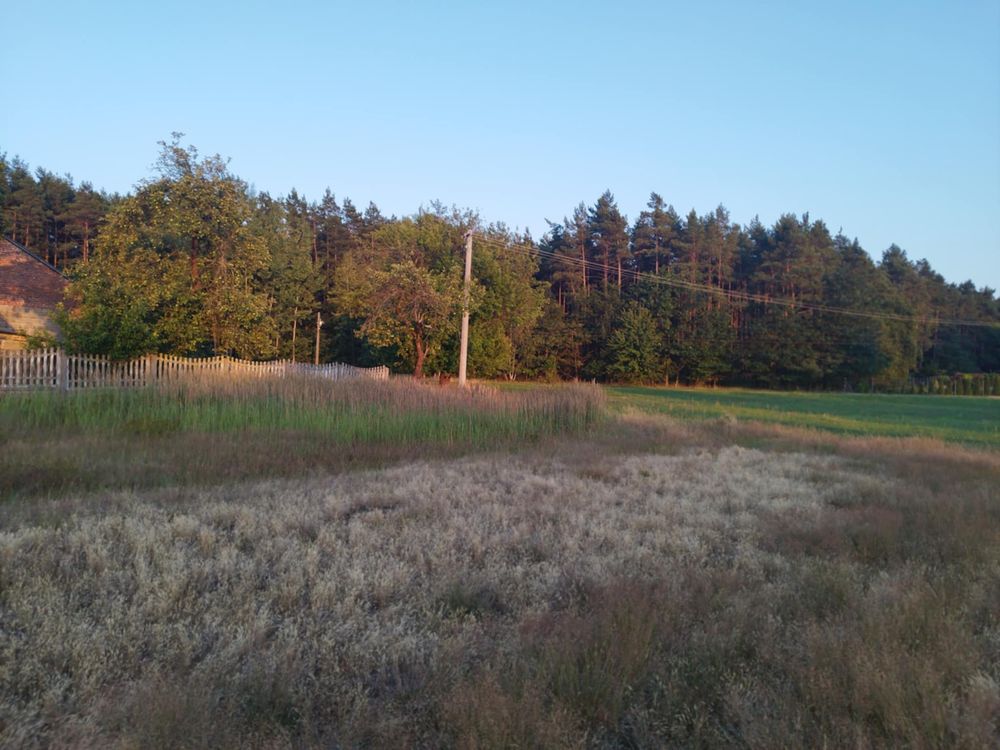 Sprzedam Dom (Siedliskoo) koło Kluk