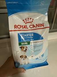 Royal canin starter mini