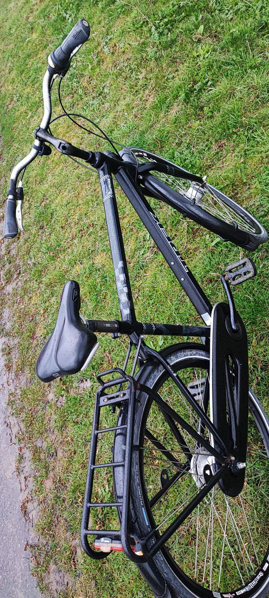 TREK DAYTONA 7-SPEED rower męski, czarny mat Shimano Nexus