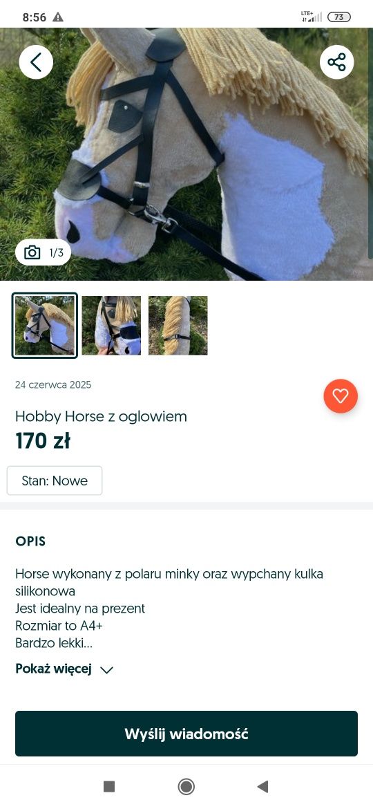 Hobby Horse Sport