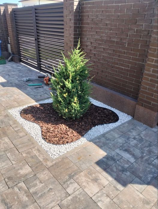 Послуги садівник вирубка чистка лікування посадка живоплоту