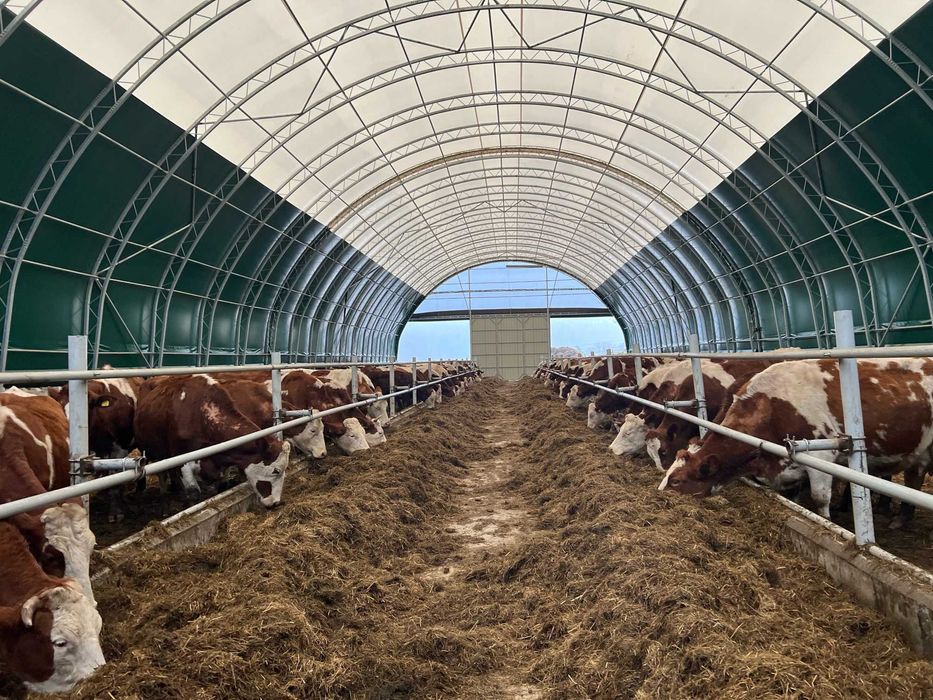 Hala Magazynowa, Hala Łukowa, Hala Namiotowa , Hala na Bale, Obora