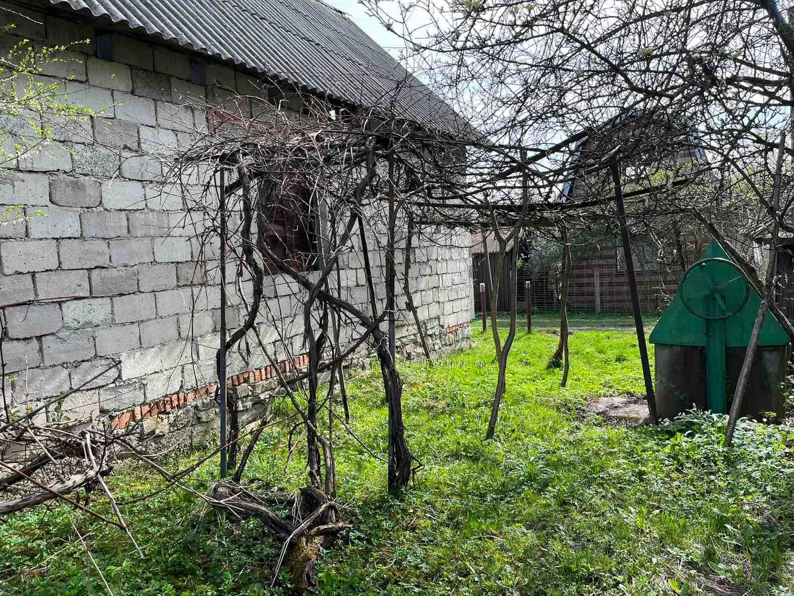 Терміново продається дача біля лісу в Павлівці