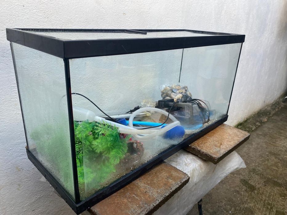 Aquário + equipamentos