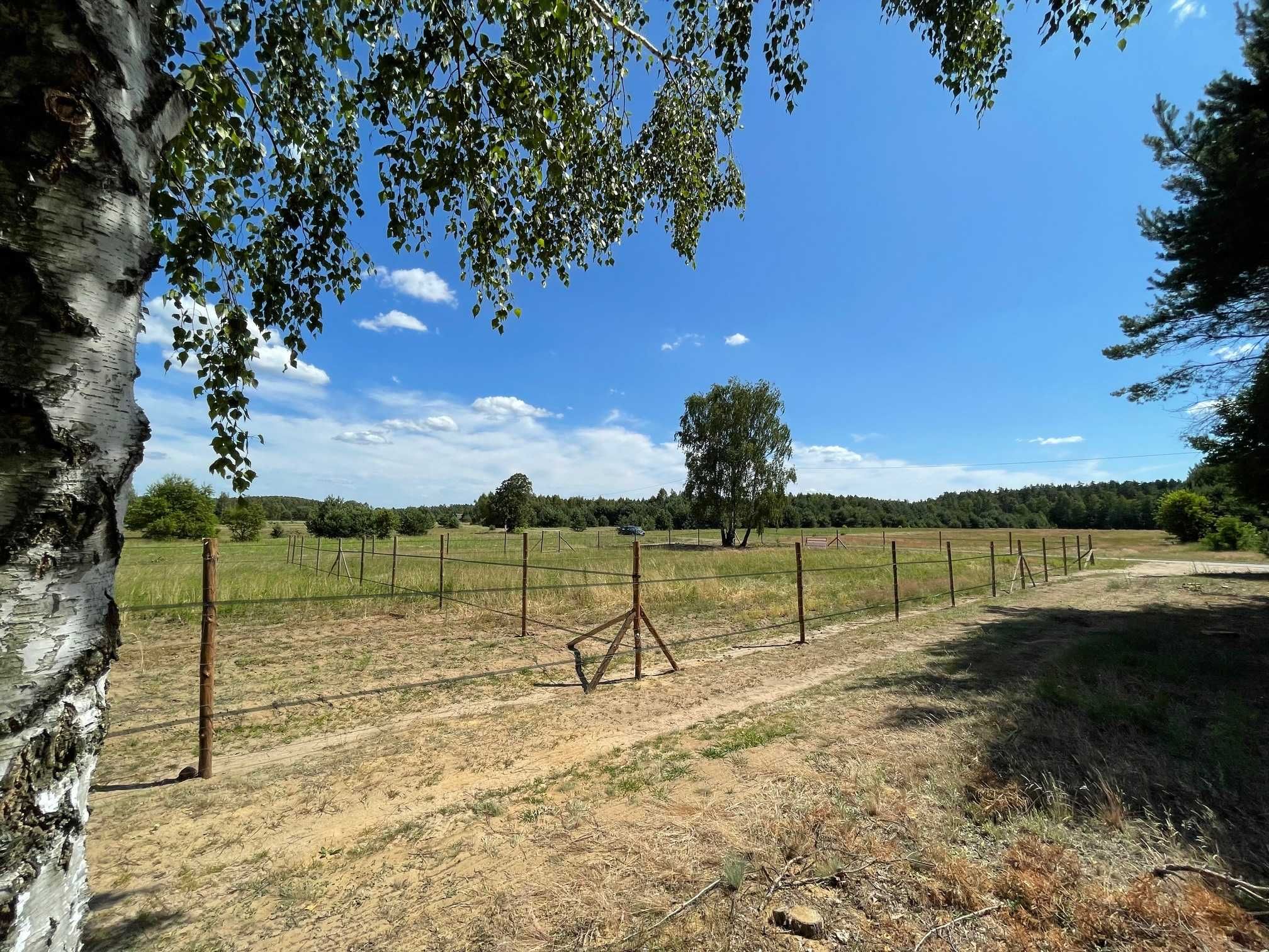 Działka budowlana ogrodzona prąd 971m2 pojedyncze WZ dojazd asfaltowy