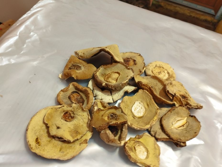 Білі гриби шапочка  ціна за кілограм