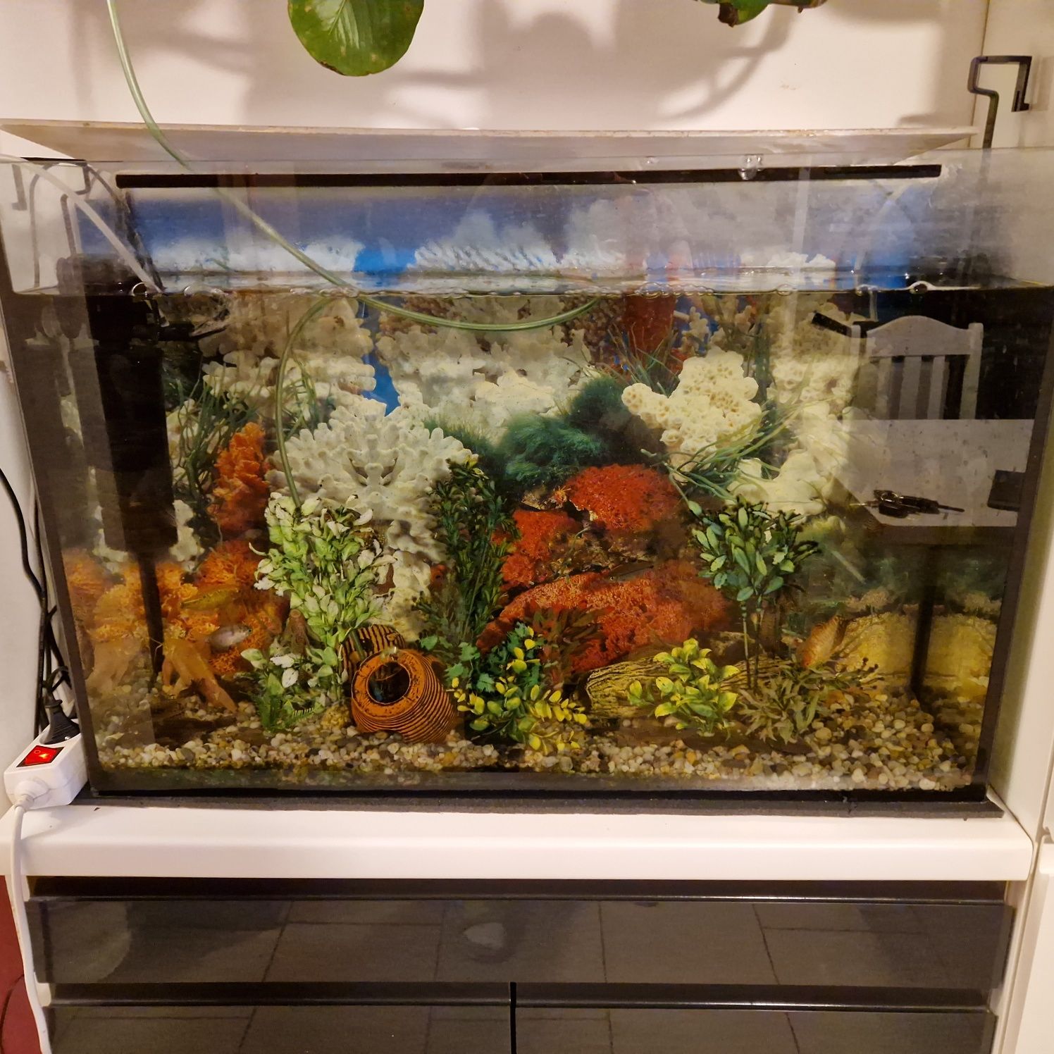 2x akwarium ok 80litrow
