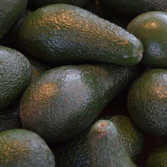 2kg De Abacate hass Caseiro sem qualquer tratamento