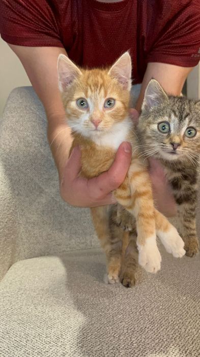 Franio i Jadzia około trzech miesięcy