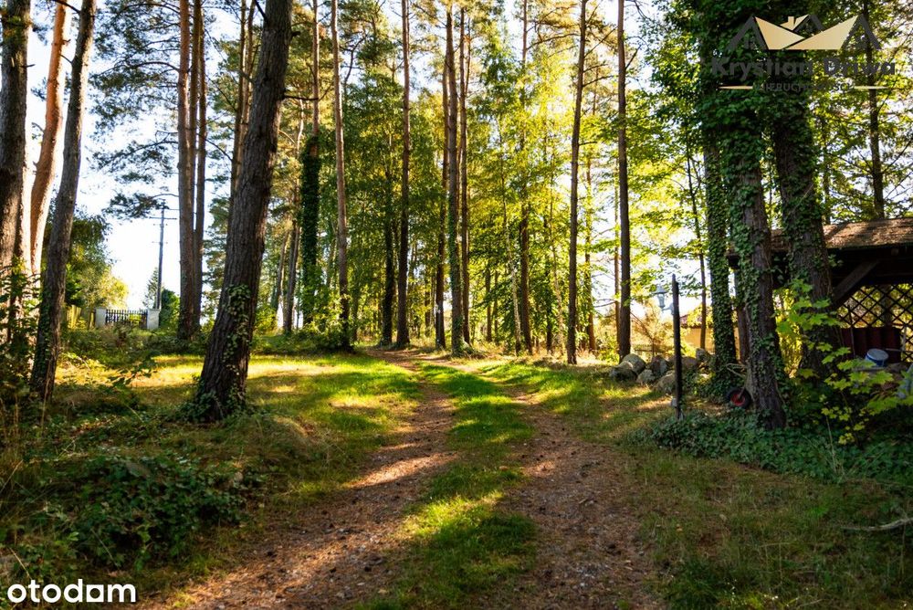 Działka w Ostrzycach, 200 m od jeziora!
