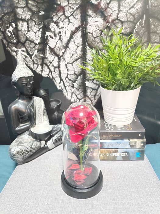 A Bela e o monstro Rosa eterna vermelha