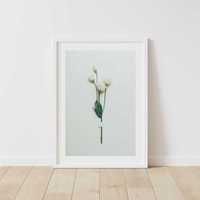 Plakat kwiatów! Kwiaty skandi skandynawski loft minimalizm szary