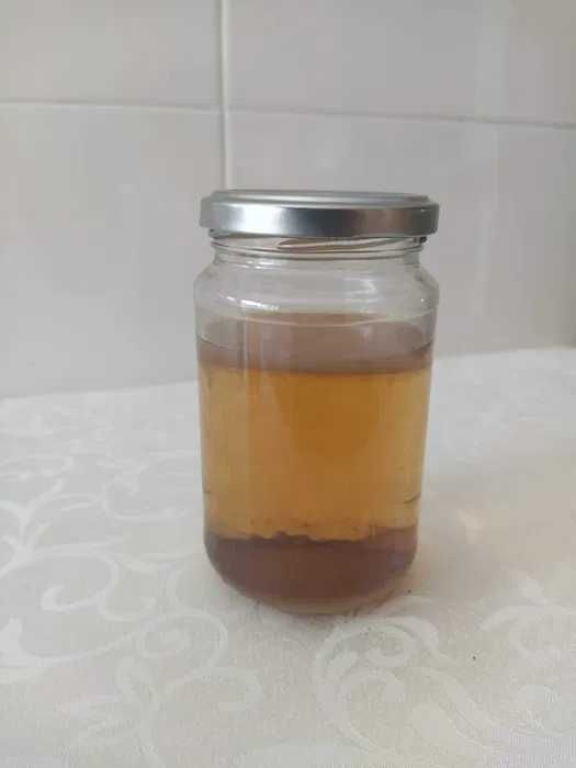 Kombucha SCOBY, líquido e instruções para fazer kombucha