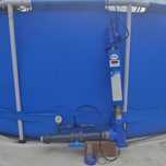 Lampa uv z ozonem do dezynfekcji wody oczka wodnego basenu blue lagoon