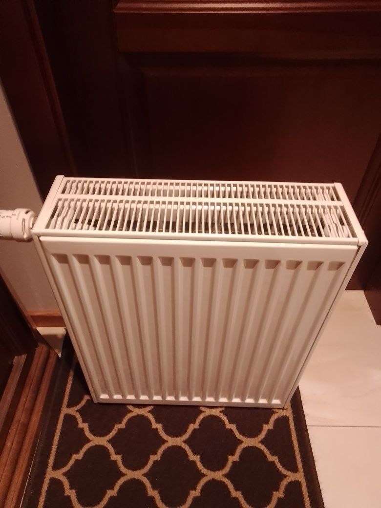 Karoryfer z termostatem