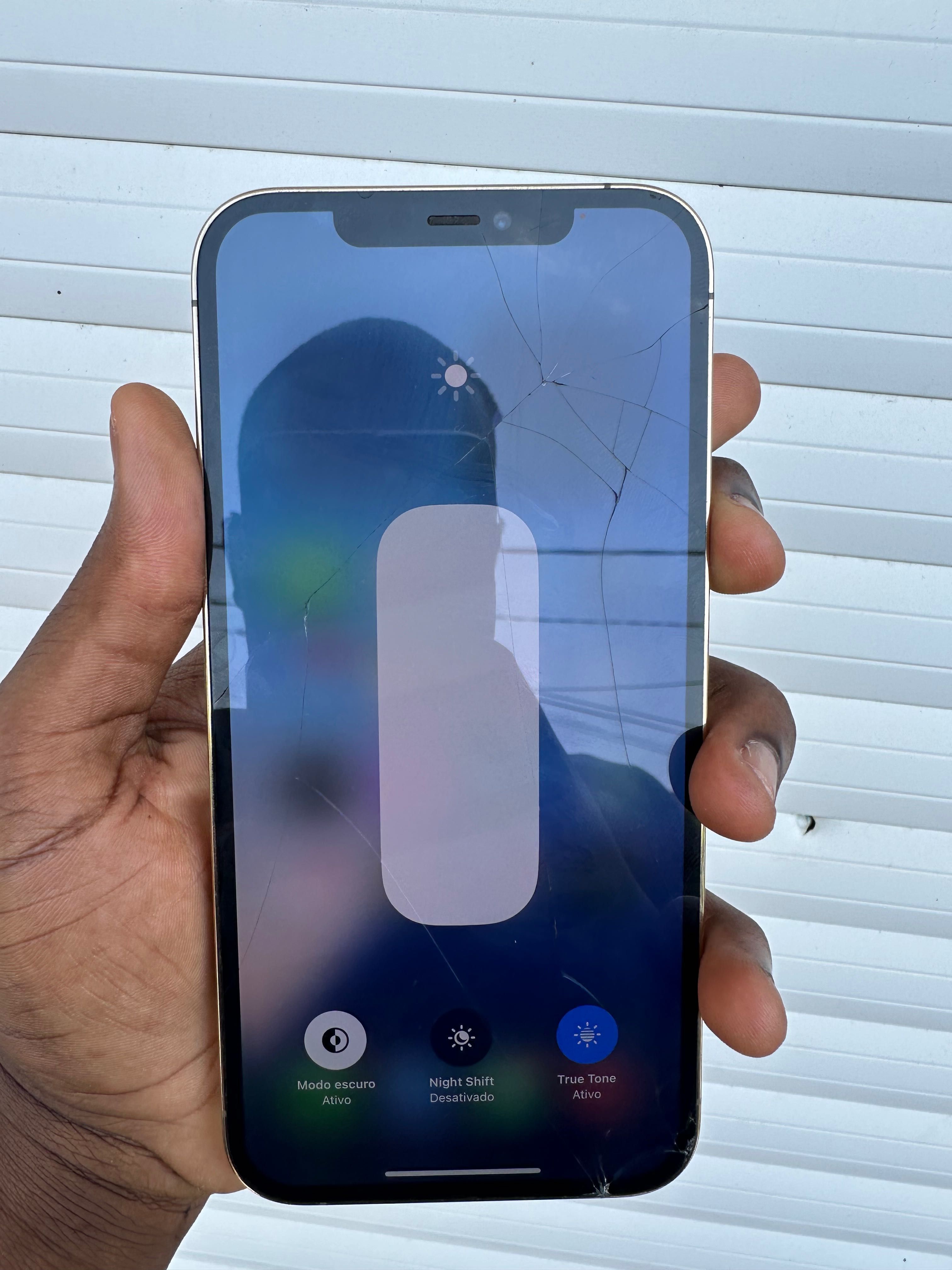 iPhone 12 Pro Max