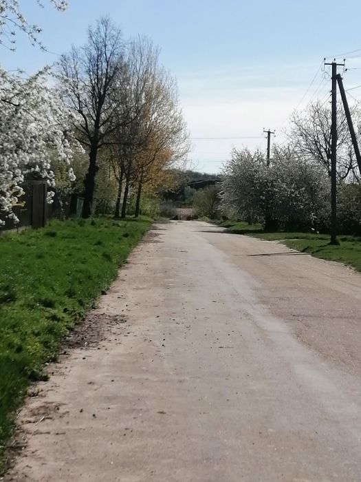 Продам 24 сот по вулиці Травнева біля озера в селі Селезенівка Сквира