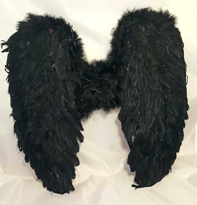 Czarne skrzydła z piór