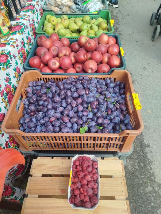 Owoce ekologiczne z certyfikatem