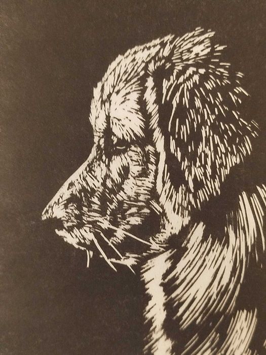 Linoryt, ilustracja, grafika, obrazek - Golden Rretriever, pies