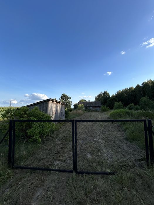 Spokój, las i własne siedlisko na wsi – lubelskie