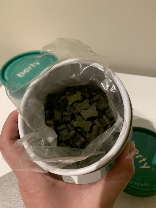 Berty psiuple suplementy dla psa be balanced na zdrowe jelita