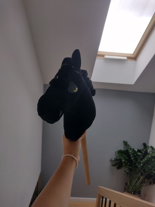 Hobby horse a5 sprzedam/wymienię